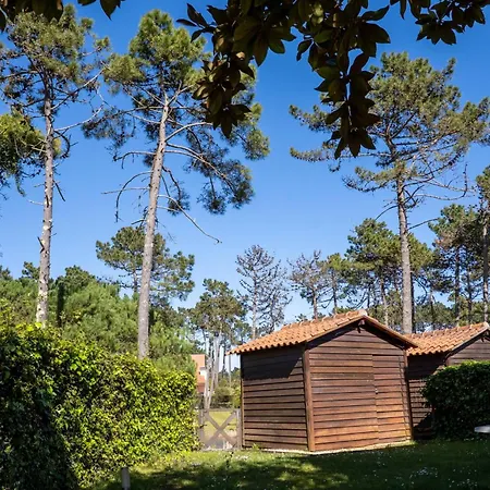 R3 - Miravillas - Rosas 33